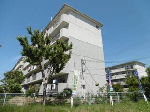 鈴蘭台第５団地　５３号棟の物件外観写真